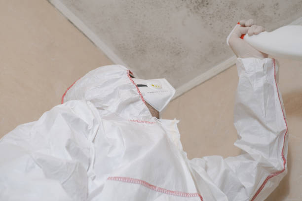 Best Certified Mold Removal  in Shawnee, OK