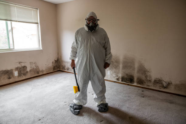 Best Crawl Space Mold Removal  in Shawnee, OK